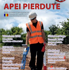 Detectivii Apei Pierdute nr. 10